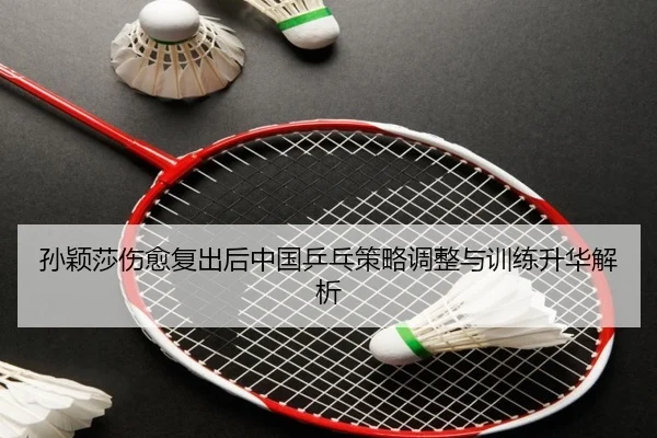 孙颖莎伤愈复出后中国乒乓策略调整与训练升华解析