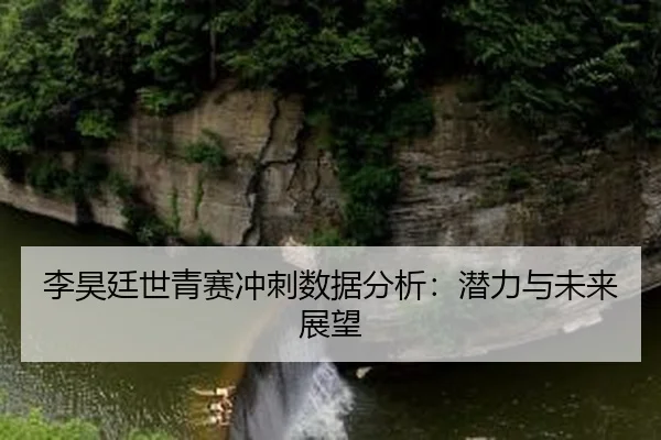 李昊廷世青赛冲刺数据分析：潜力与未来展望